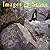 Images In Stone 2006 Calendar