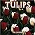 Tulips 2004 Calendar