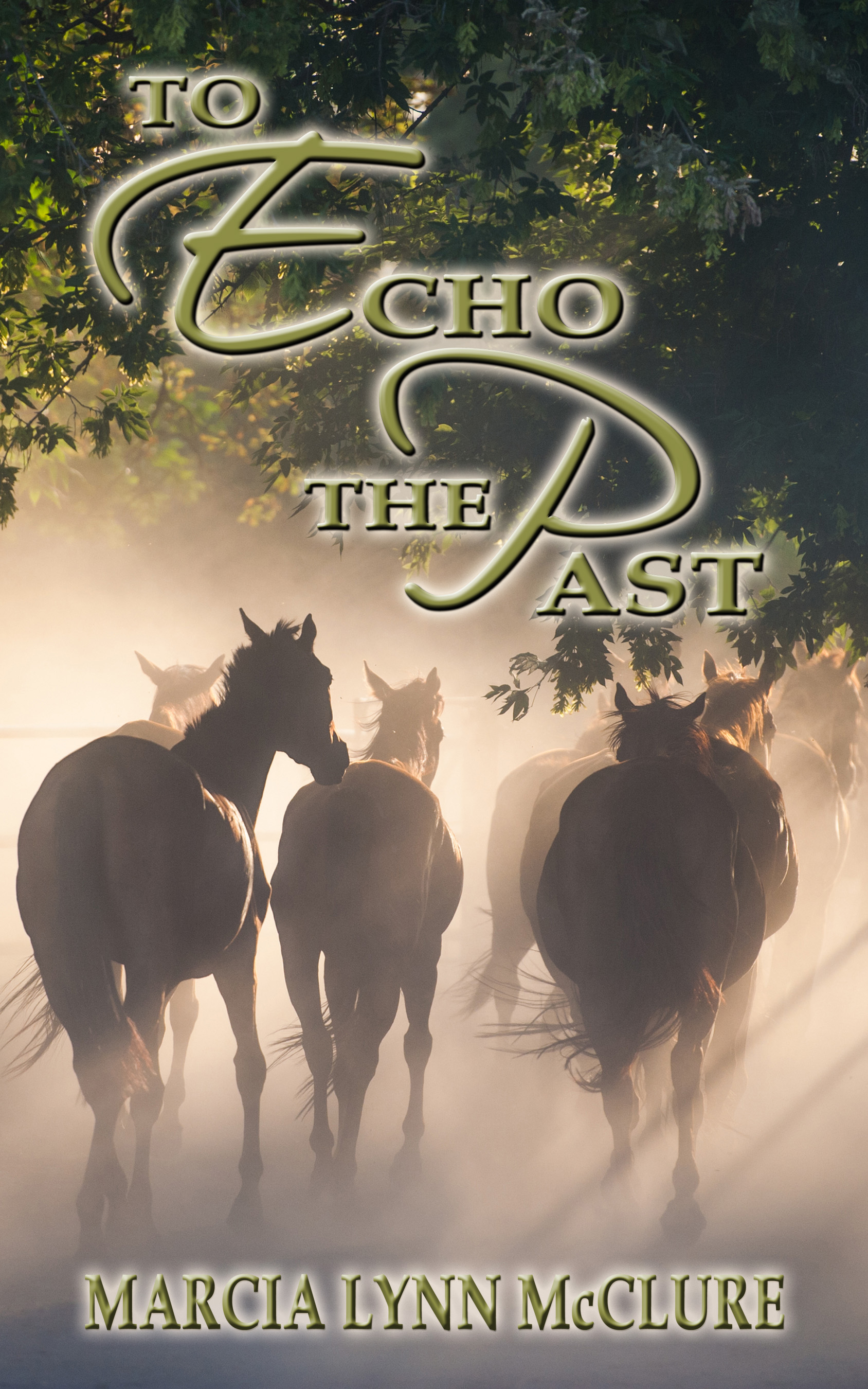 To Echo the Past (Paperback)
