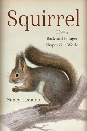 Squirrel: How a Backyard Forager Shapes Our World (Paperback)