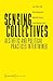 Sensing Collectives: Aesthe...