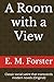 A Room with a View: Classic social satire that transcends modern novels (Original)