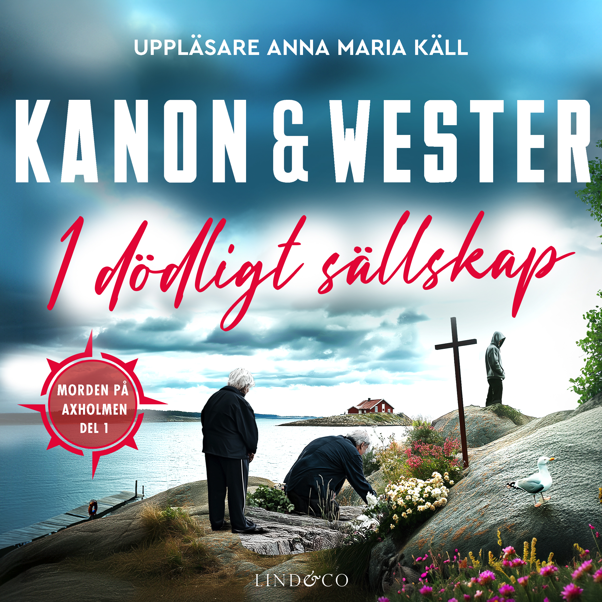 I dödligt sällskap (Morden på Axholmen #1)