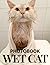 The Picture Book Of Wet Cat...