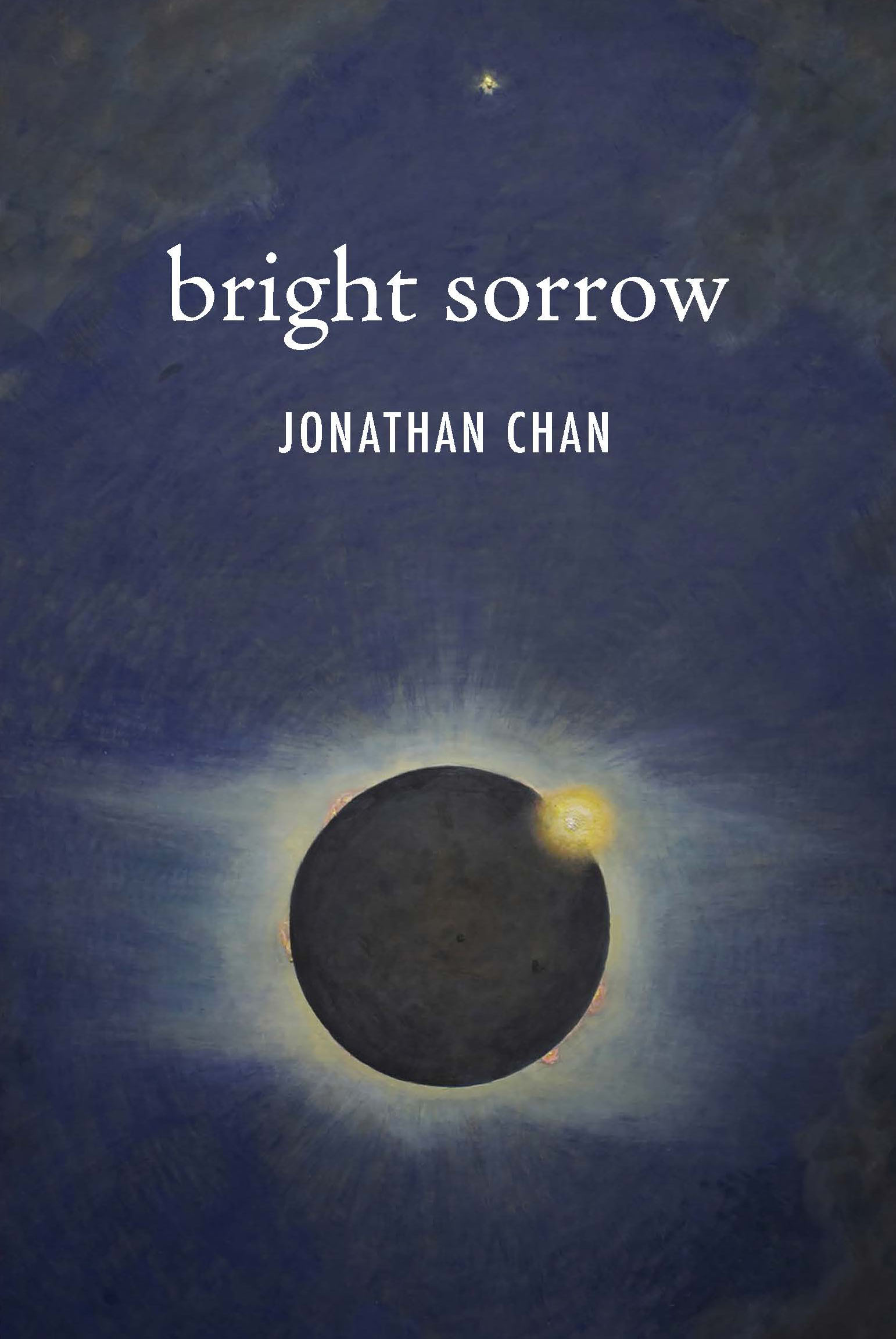 bright sorrow (Paperback)