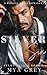 Silver Sin (Belov Bratva #1)