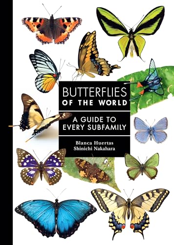 Butterflies of the World: A Guide to Every Subfamily (A Guide to Every Family)