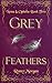 Grey Feathers (Fallen Feath...