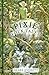 Pixie Folk Tales
