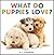 What Do Puppies Love?