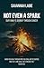 Not Even a Spark by Savannah R Labie