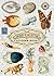 The Curious Collections Sti...