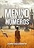 O MENINO QUE VIA NÚMEROS by John Goldsmith