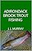 Adirondack Brook Trout Fishing by J. J. Murray