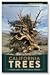California Trees: A field guide to the native species