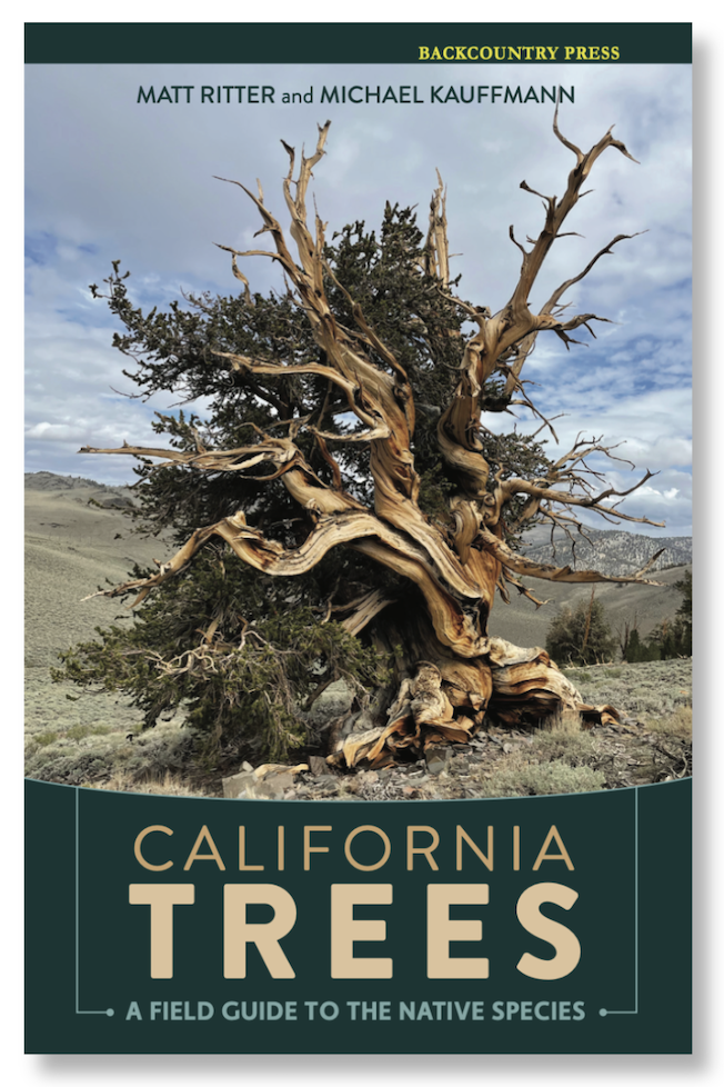 California Trees: A field guide to the native species
