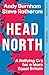 Head North: A Rallying Cry for a More Equal Britain / Essential Political Reading After The 2024 General Election