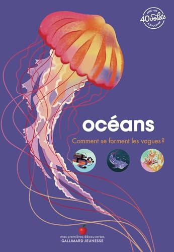 Océans: Comment se forment les vagues ? (Board Book)