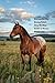 Horses for the Young Adult ...