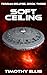 Soft Ceiling by Timothy Ellis Soft Ceiling by Timothy Ellis
