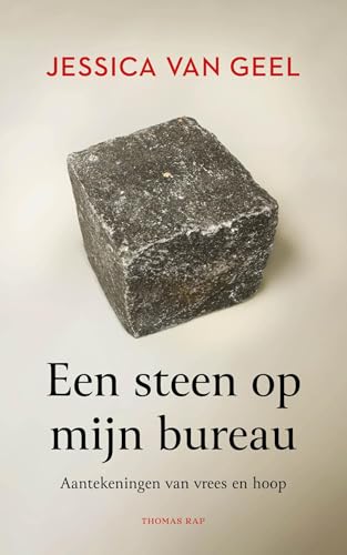 Een steen op mijn bureau (Kindle Edition)