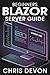 Beginners Blazor Server Gui...