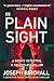 In Plain Sight: A Dark and Atmospheric Irish Murder Mystery That Will Keep You Guessing