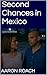 Second Chances in Mexico by Aaron Roach