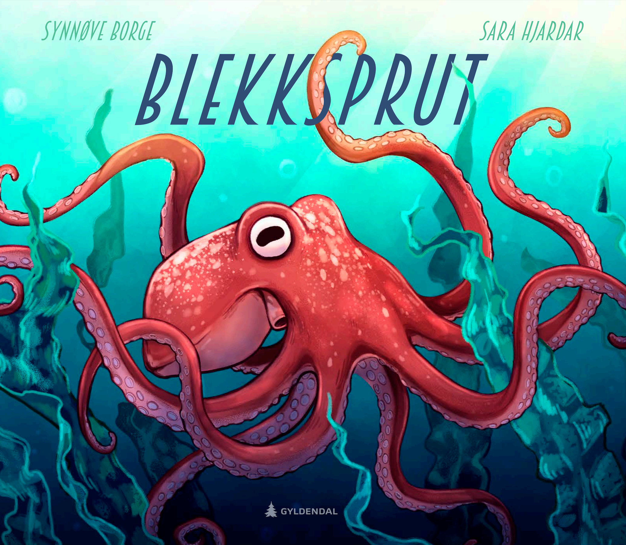 Blekksprut - eledone cirrhosa
