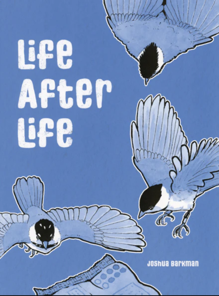 Life After Life (Paperback)