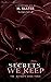 Secrets We Keep by N. Slater