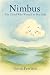 The Cloud Who Wanted to Be a Lake by Tonio Ferritto