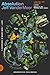 Absolution by Jeff VanderMeer