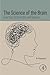 The Science of the Brain by Ari Rappoport PhD