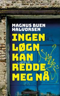 Ingen løgn kan redde meg nå (Hardcover)