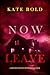 Now Leave (Brynn Justice #5)