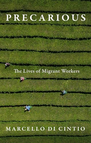 Precarious: The Lives of Migrant Workers (Paperback)