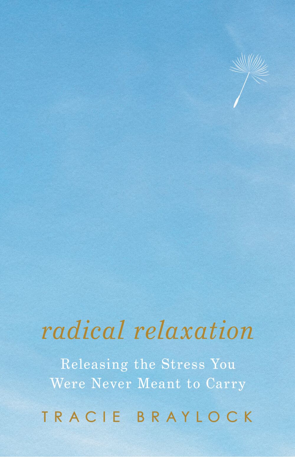 Radical Relaxation: Releasing the Stress You Were Never Meant to Carry (Paperback)