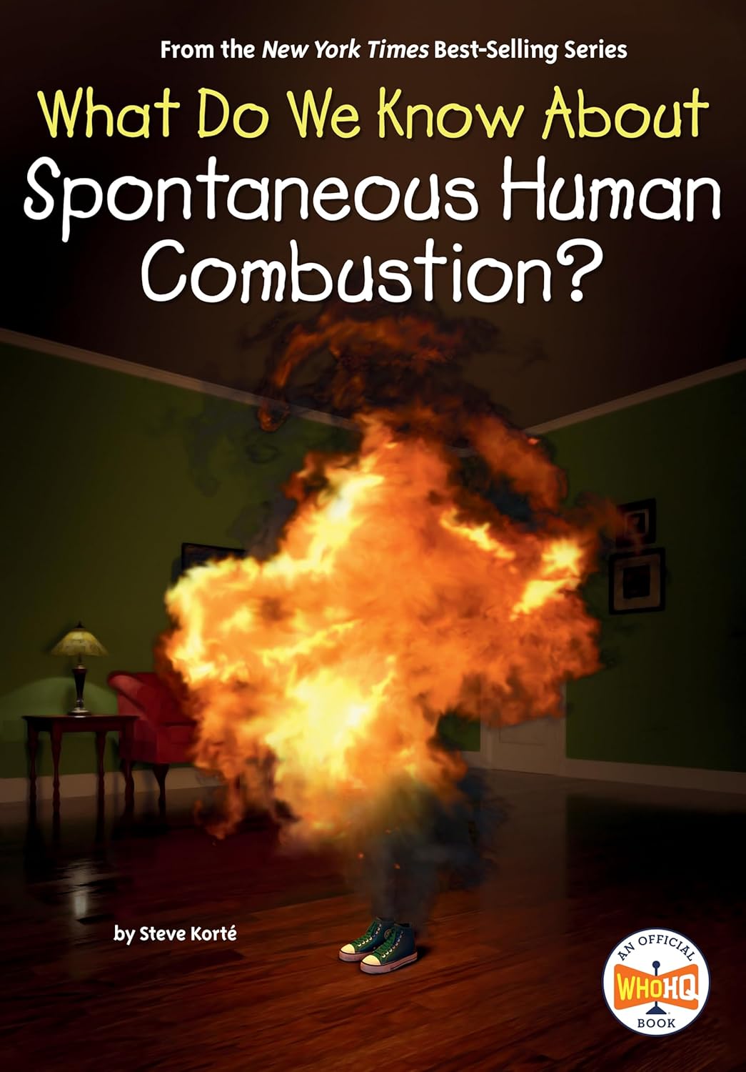 What Do We Know About Spontaneous Human Combustion? (Paperback)