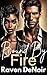 Bound by Fire (Vows & Vengeance #2)