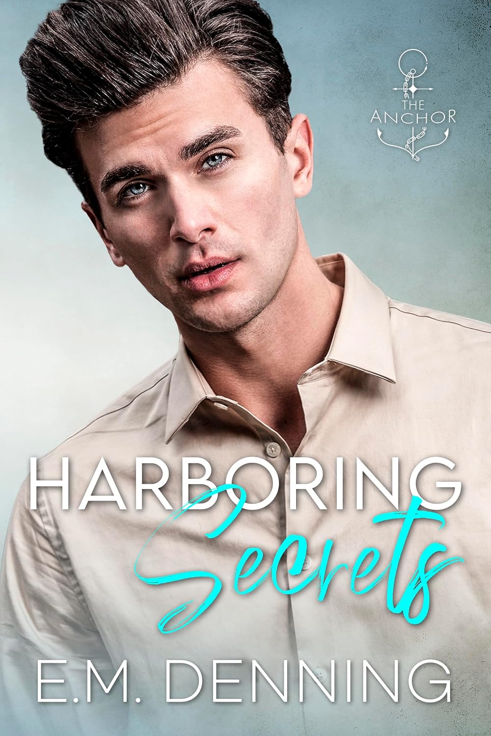 Harboring Secrets (The Anchor, #3)