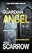 A Guardian Angel (DCI Boyd,  #13)
