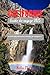 GUIDE DE VOYAGE EN CALIFORN...