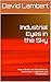 Industrial Eyes in the Sky:...