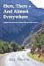 Here, There – and Almost Everywhere by Ray Theron