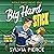 Big Hard Stick (Buffalo Tempest Hockey, #3)