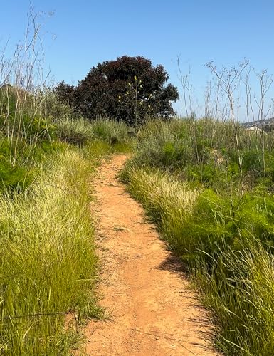 Respawn (Kindle Edition)