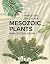 The Princeton Field Guide to Mesozoic Plants by Nan Crystal Arens The Princeton Field Guide to Mesozoic Plants by Nan Crystal Arens