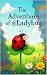 The Adventure of Ladybug ( ...
