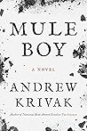 Mule Boy
